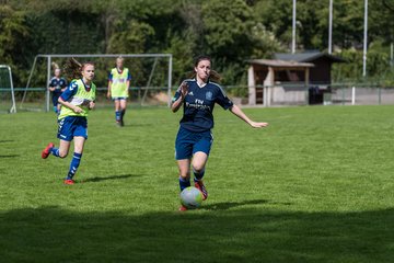Bild 304 - B-Juniorinnen VfL Pinneberg - HSV : Ergebnis: 1:4